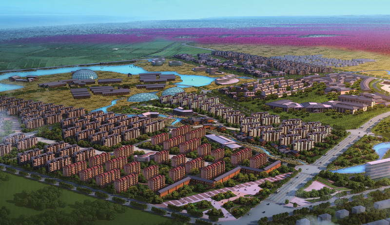 红海滩小镇——中国首批特色小镇赵圈河镇概